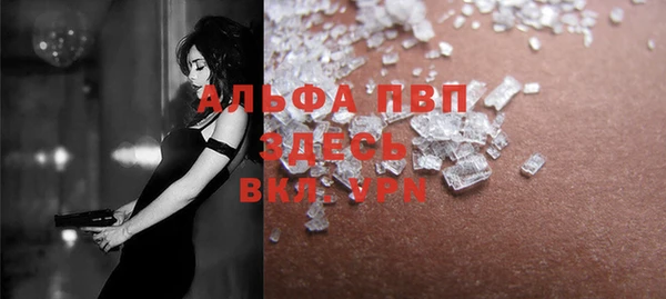стафф Елизово