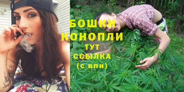 стафф Елизово