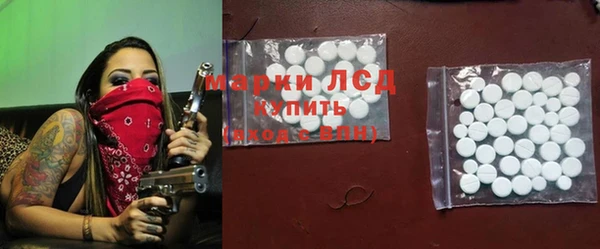 стафф Елизово
