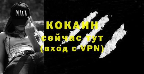 стаф Елабуга