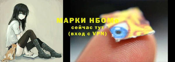 стафф Елизово