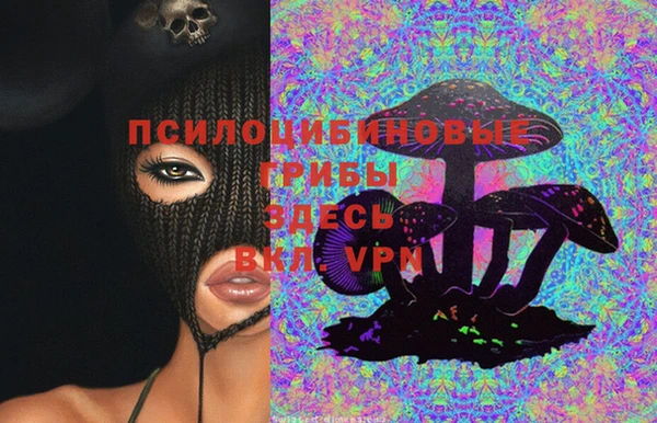 стафф Елизово