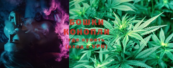 стафф Елизово
