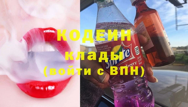 стафф Елизово