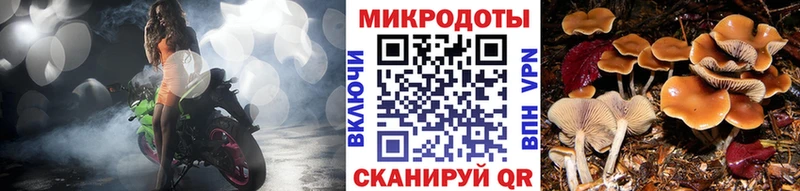 Купить  Хвалынск  Галлюциногенные грибы Magic Shrooms 